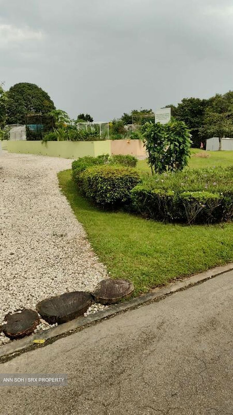 Lorong K Telok Kurau (D15), Terrace #501377541